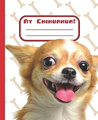 Chihuahua cute chihuahua for sale  Delivered anywhere in USA 