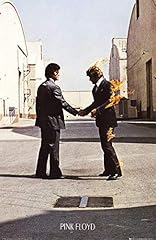 Theissen pink floyd usato  Spedito ovunque in Italia 