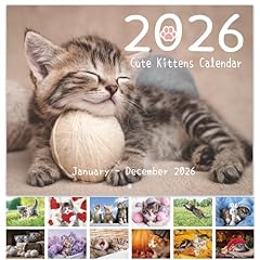 2026 wall calendar for sale  Delivered anywhere in UK