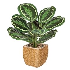 Briful fake plants for sale  Delivered anywhere in USA 