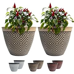 Traders plant pot for sale  Delivered anywhere in UK