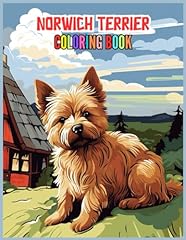 Norwich terrier serenity for sale  Delivered anywhere in UK
