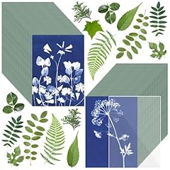 Sun print paper for sale  Delivered anywhere in USA 