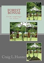 Forest bonsai saplings for sale  Delivered anywhere in USA 