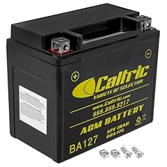 Caltric agm battery for sale  Delivered anywhere in USA 