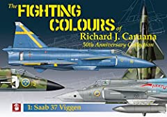 Fighting colours richard for sale  Delivered anywhere in USA 