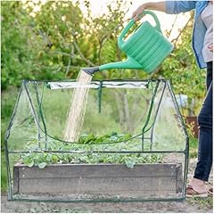 Wironlst mini greenhouse for sale  Delivered anywhere in USA 