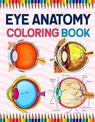 Eye anatomy coloring for sale  Delivered anywhere in USA 