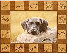 Giftworks plus pet0044 for sale  Delivered anywhere in USA 