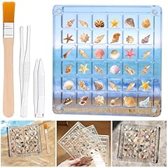 Seashell display box for sale  Delivered anywhere in USA 
