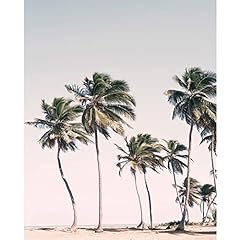 Tucocoo beach palm for sale  Delivered anywhere in USA 