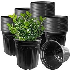 Whkvnng pack gallon for sale  Delivered anywhere in USA 