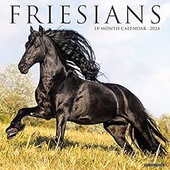 Friesians 2024 wall for sale  Delivered anywhere in UK