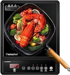 Amzchef single induction for sale  Delivered anywhere in UK