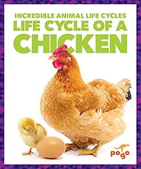 Life cycle chicken for sale  Delivered anywhere in USA 