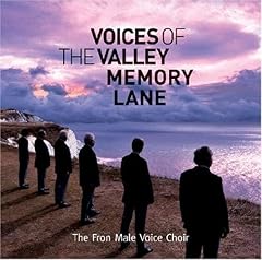 Voices valley memory for sale  Delivered anywhere in UK