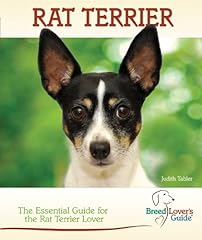 Rat terrier for sale  Delivered anywhere in UK