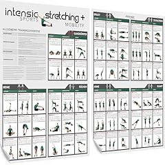 Intensic sports stretching gebraucht kaufen  Wird an jeden Ort in Deutschland