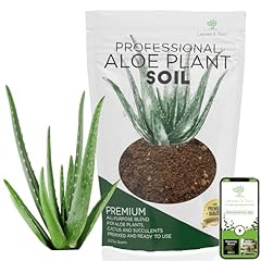 Professional aloe plant for sale  Delivered anywhere in USA 