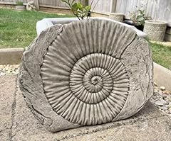 Ammonite fossil stone for sale  Delivered anywhere in UK