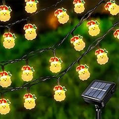 Acxilexy luci solari usato  Spedito ovunque in Italia 