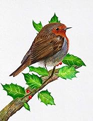 Robin bird holly for sale  Delivered anywhere in UK