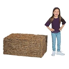 Fun express collapsible for sale  Delivered anywhere in USA 