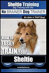 Sheltie training dog for sale  Delivered anywhere in USA 