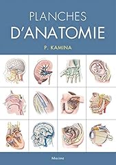 Planches anatomie humaine. d'occasion  Livré partout en France