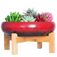 Succulent pots large for sale  Delivered anywhere in USA 