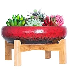 Succulent pots large for sale  Delivered anywhere in USA 