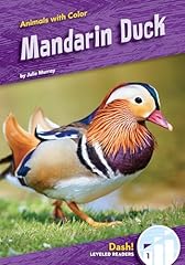 Mandarin duck d'occasion  Livré partout en France