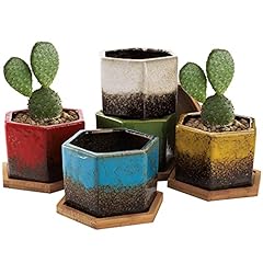 Topzea set succulent for sale  Delivered anywhere in UK