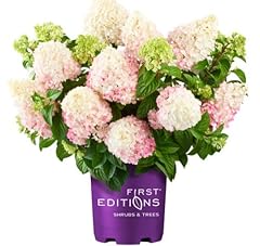 Green promise farms for sale  Delivered anywhere in USA 