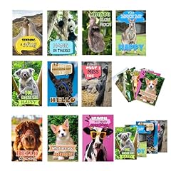 Smarsticker funny animal for sale  Delivered anywhere in USA 