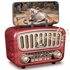 Prunus 180 radio usato  Spedito ovunque in Italia 