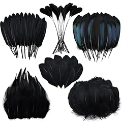 Black craft feathers for sale  Delivered anywhere in USA 