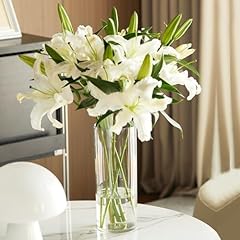 Unzerbrechliche vase acryl gebraucht kaufen  Wird an jeden Ort in Deutschland