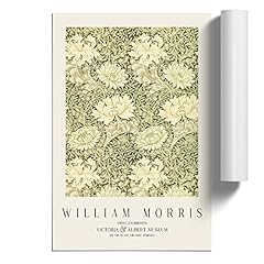 Chrysanthemum william morris for sale  Delivered anywhere in UK