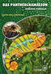 Das pantherchamäleon furcifer d'occasion  Livré partout en France