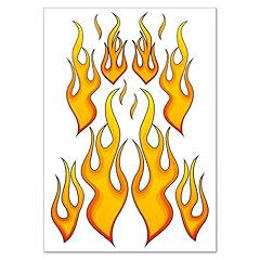 Racing aufkleber fire gebraucht kaufen  Wird an jeden Ort in Deutschland