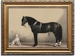 Astrdecor classic horse for sale  Delivered anywhere in UK