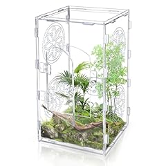 Acrylic jumping spider for sale  Delivered anywhere in UK