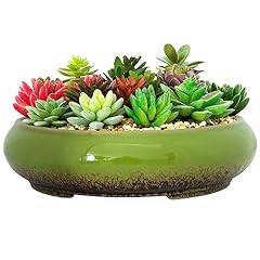 Succulent pots 11.5 for sale  Delivered anywhere in USA 