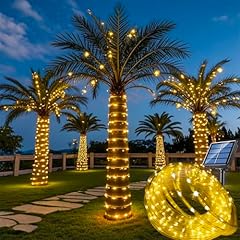 Solar rope light for sale  Delivered anywhere in USA 