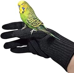 Alfyng bird training for sale  Delivered anywhere in USA 