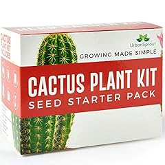 Cactus kit grow for sale  Delivered anywhere in UK