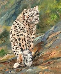 Snow leopard cub for sale  Delivered anywhere in USA 