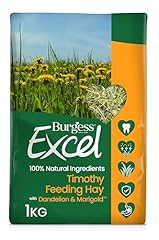 Burgess excel dandelion for sale  Delivered anywhere in UK