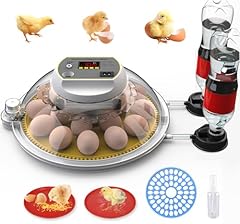 Detodda eggs incubators for sale  Delivered anywhere in UK